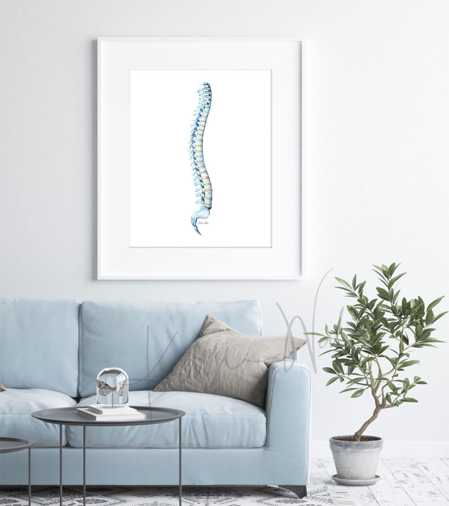 Spinal Column Watercolor Print - Spine Art Orthopedic Paintings