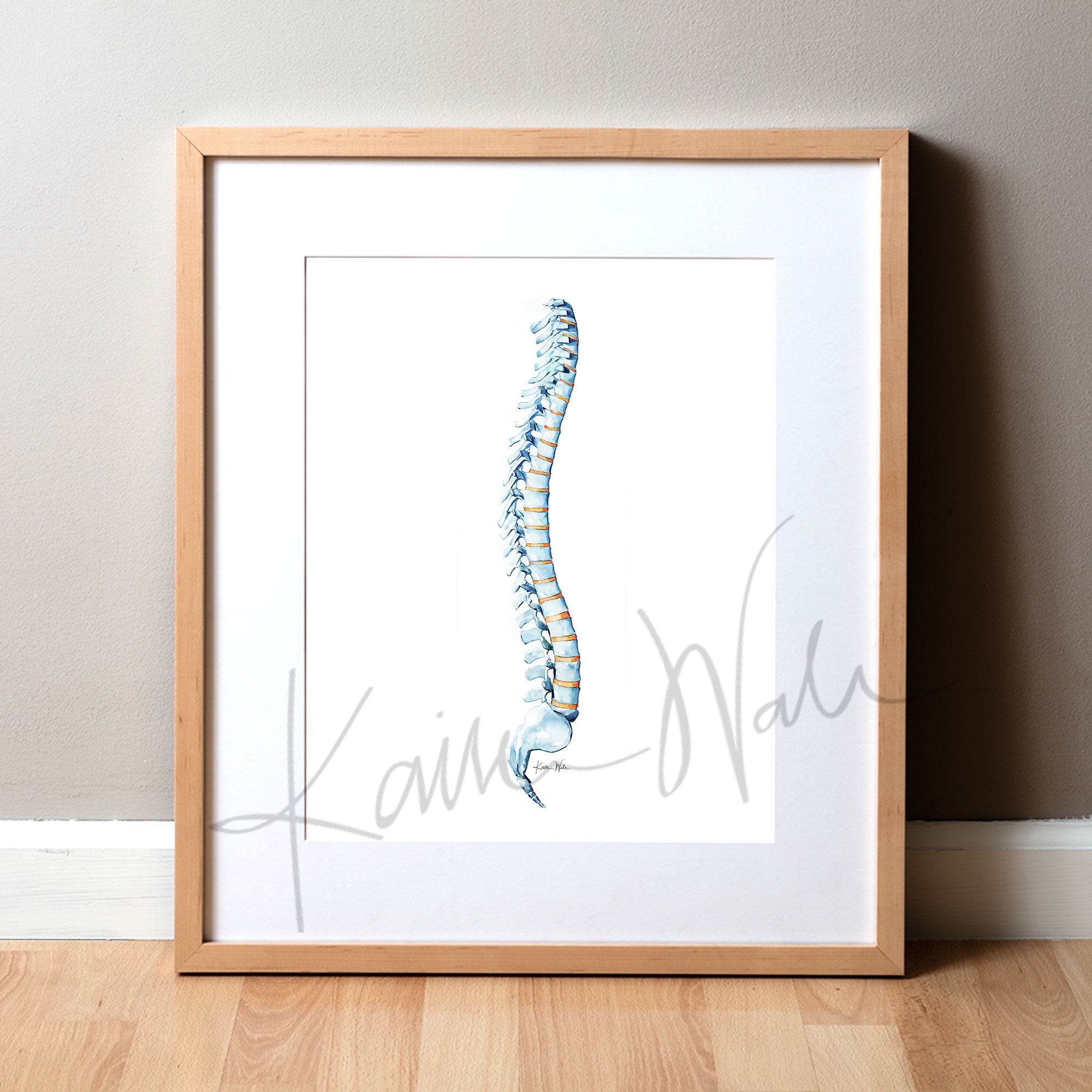 Spinal Column Watercolor Print - Spine Art - Orthopedic Art - Spinal Paintings