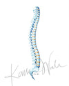 Spinal Column Watercolor Print - Spine Art - Orthopedic Art - Spinal Paintings