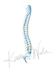 Spinal Column Watercolor Print - Spine Art - Orthopedic Art - Spinal Paintings