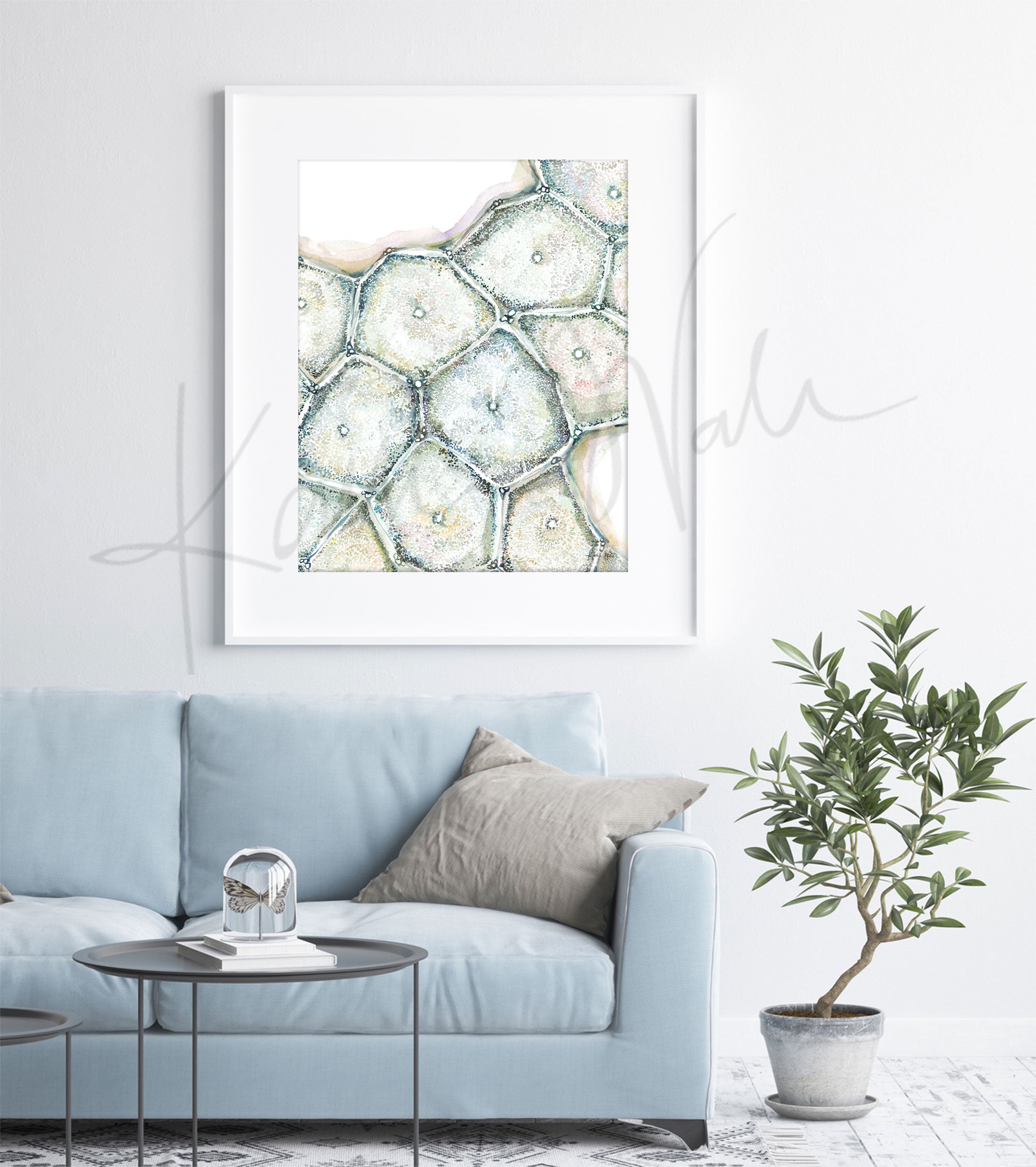 Liver Lobules Watercolor Print