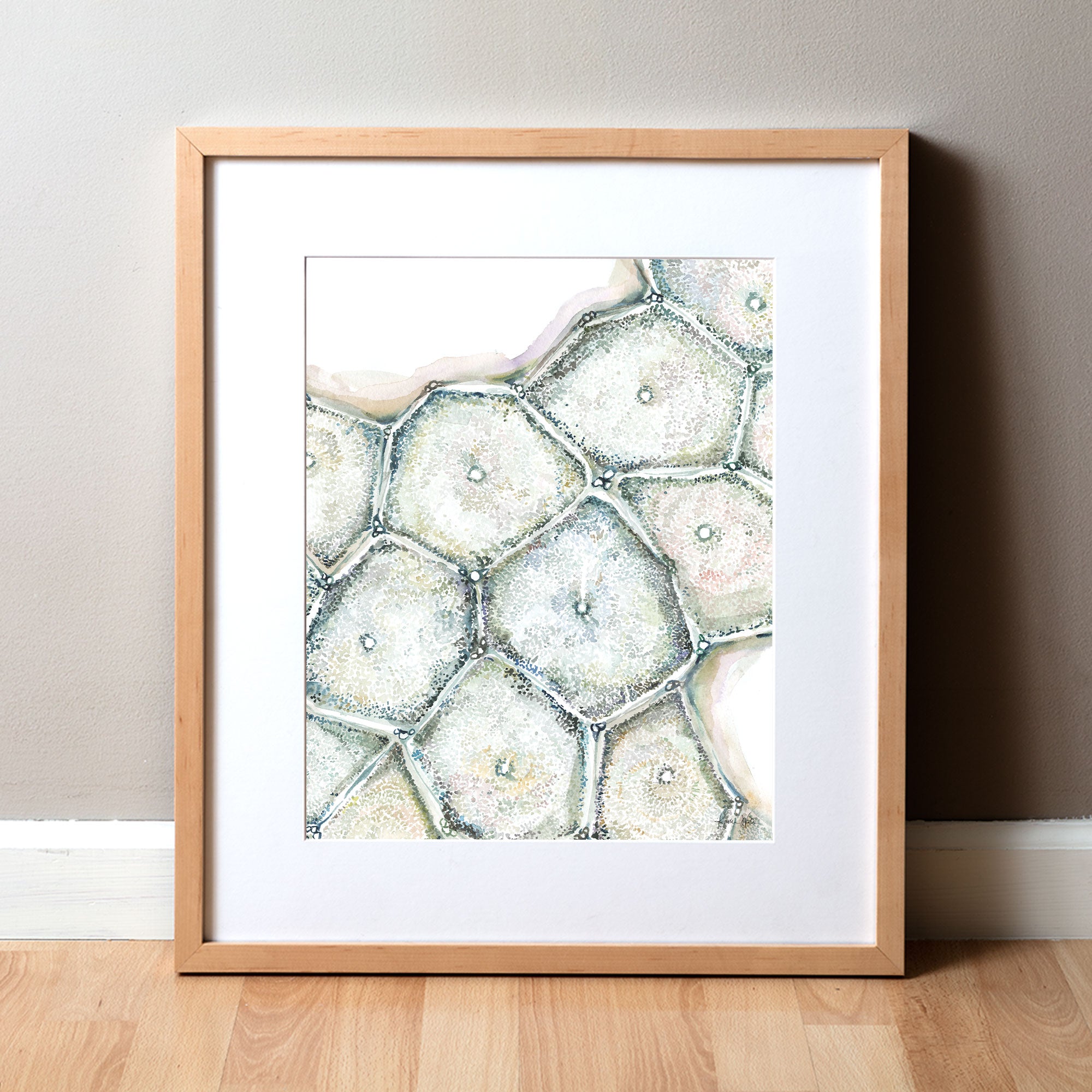 Liver Lobules Watercolor Print