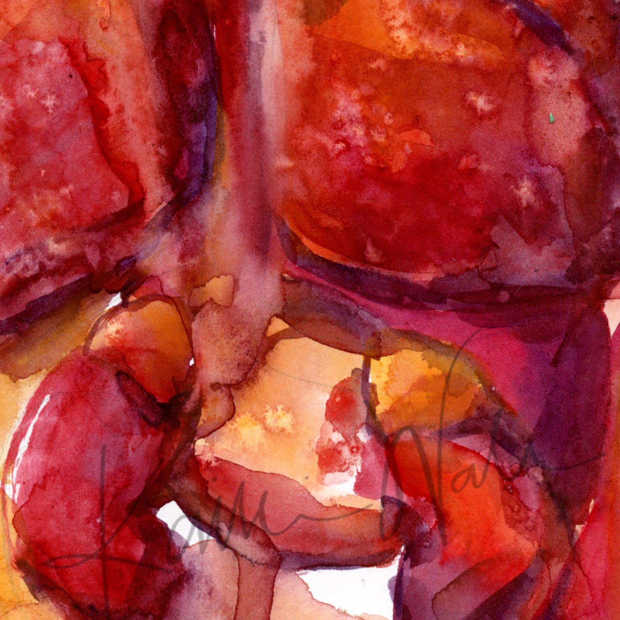 Zoomed in view of a watercolor painting of the internal trunk organs in reds and oranges.