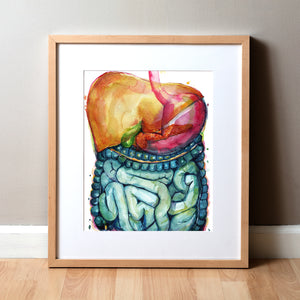 Framed watercolor painting of the gastrointestinal system.