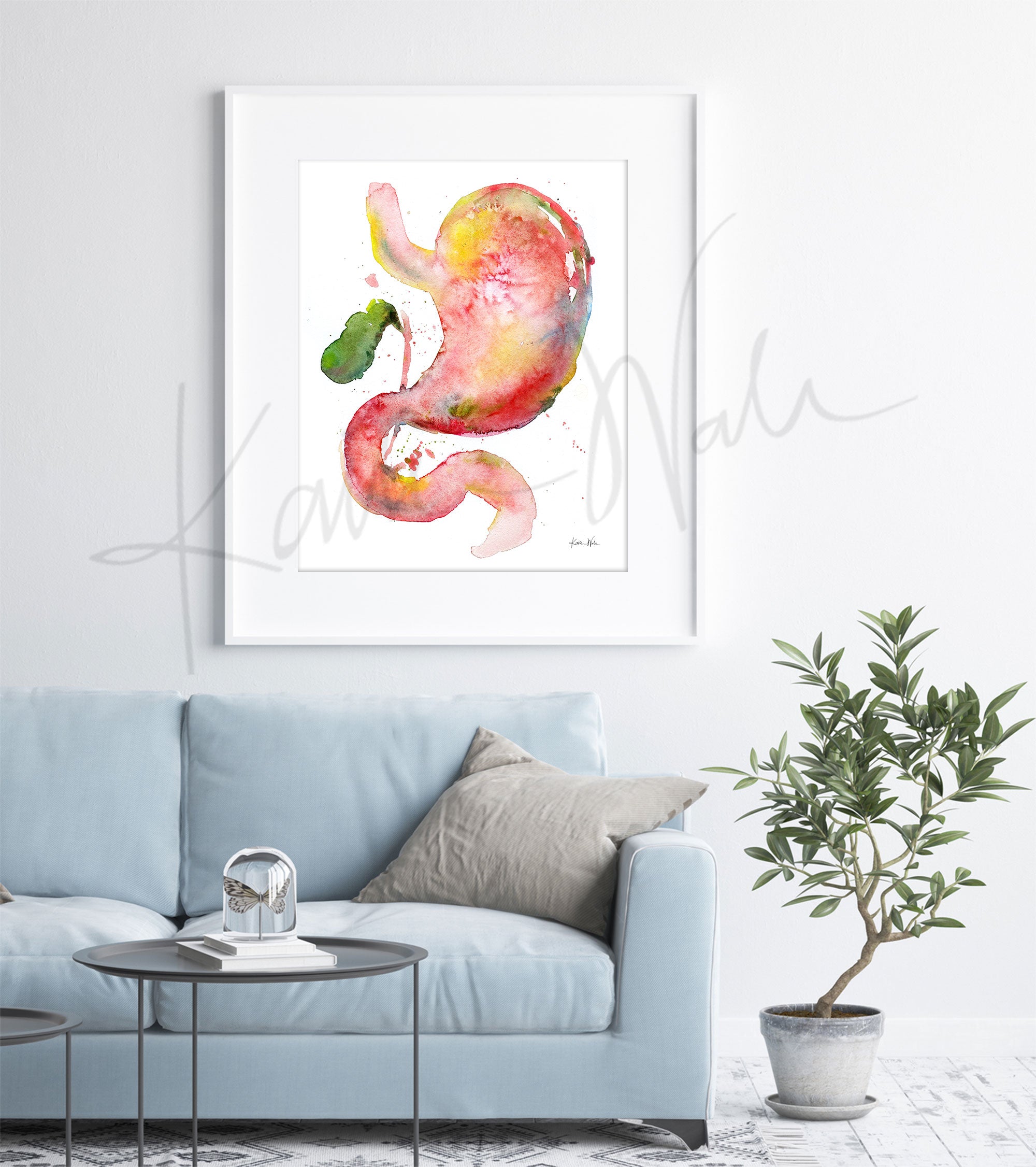 Framed watercolor painting of a stomach, duodenum, and gallbladder combination. The painting is hanging over a blue couch.