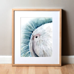 Framed watercolor painting of a zoomed in perspective of a white guinea pig’s nose on a teal, blue, and green background.