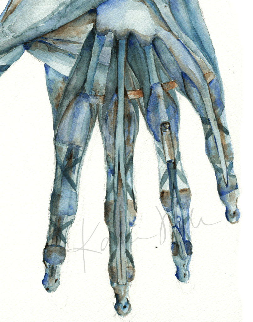 Hand Anatomy In Green Print Watercolor