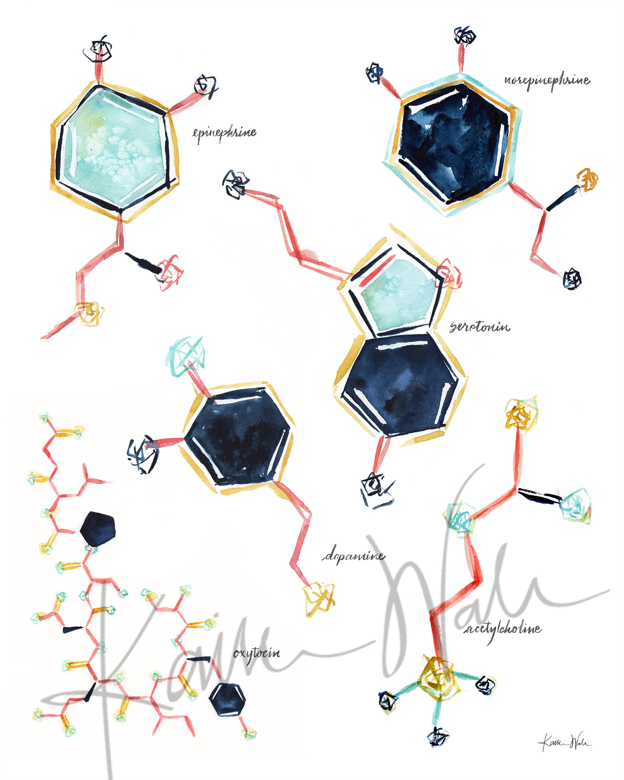 Happy Hormones Watercolor Poster