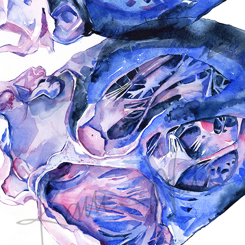 Zoomed in view of a watercolor painting of a heart dissection in pinks, purples, and vibrant blues.