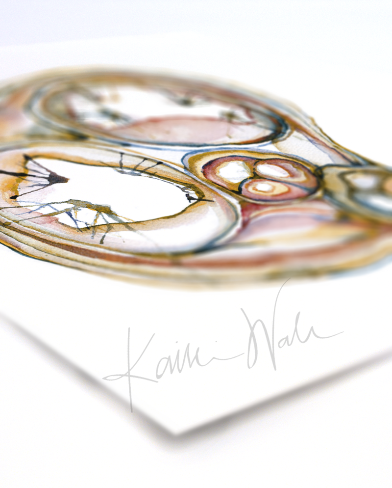 Cross Sectioned Heart Print Watercolor- Professional Watercolor Print