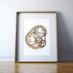 Cross Sectioned Heart Print Watercolor
