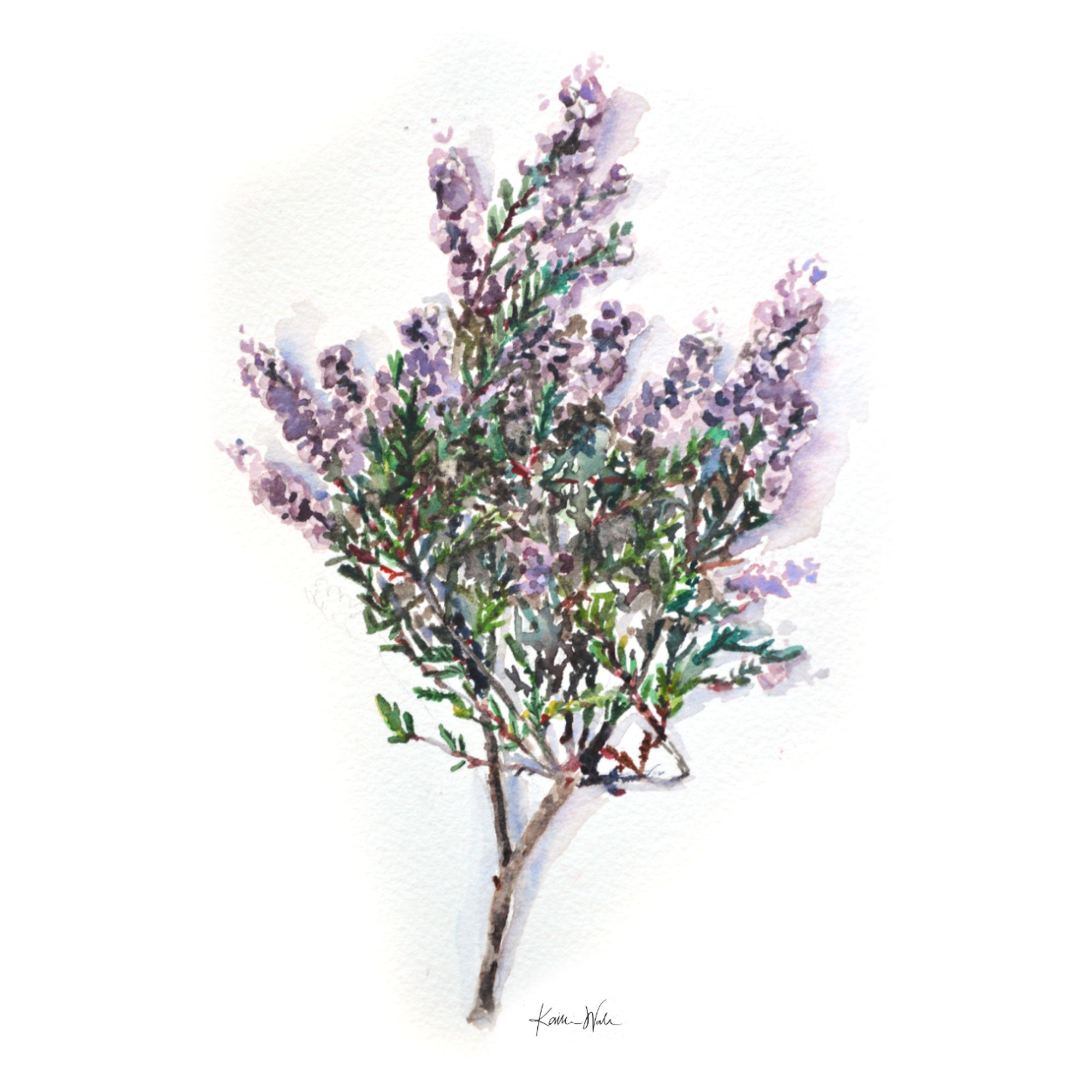 Watercolor Botanicals | teens & adults