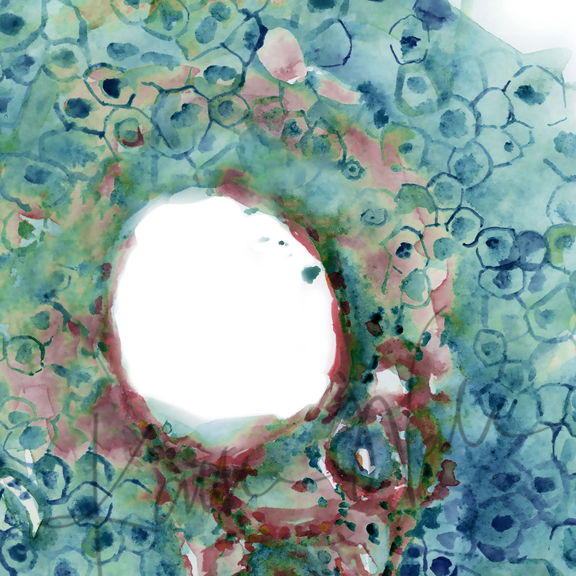 Zoomed in view of a watercolor painting of the bile duct.
