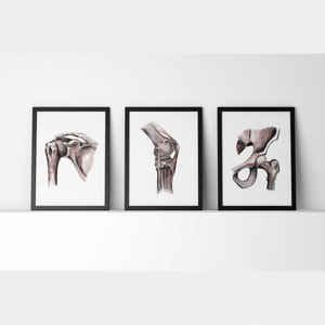 Shoulder Hip And Knee Joint Print Set Watercolor