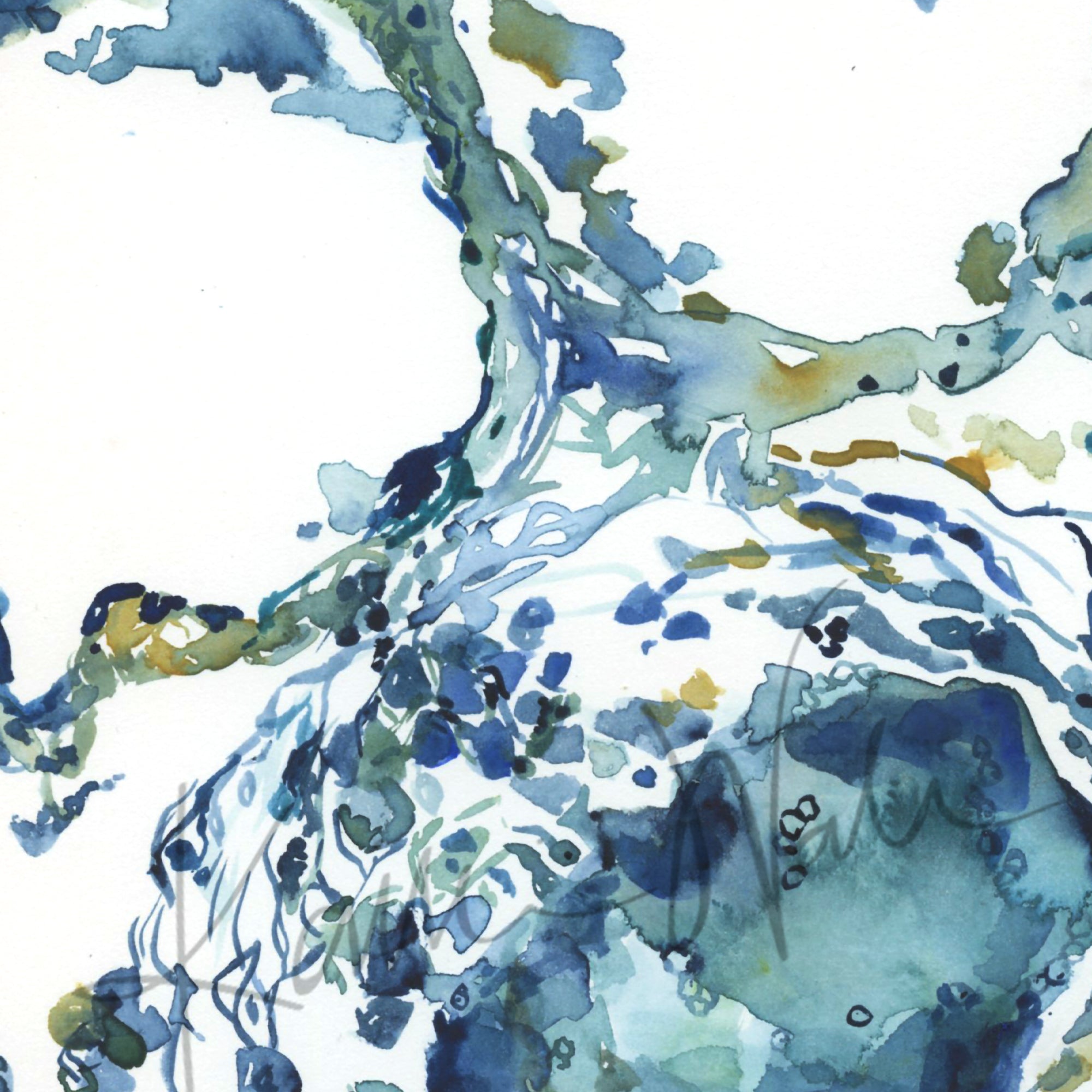 Zoomed in view of a watercolor painting of a granuloma histology in blues and greens.