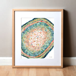 Framed watercolor painting of the histology of a plant leaf stem.