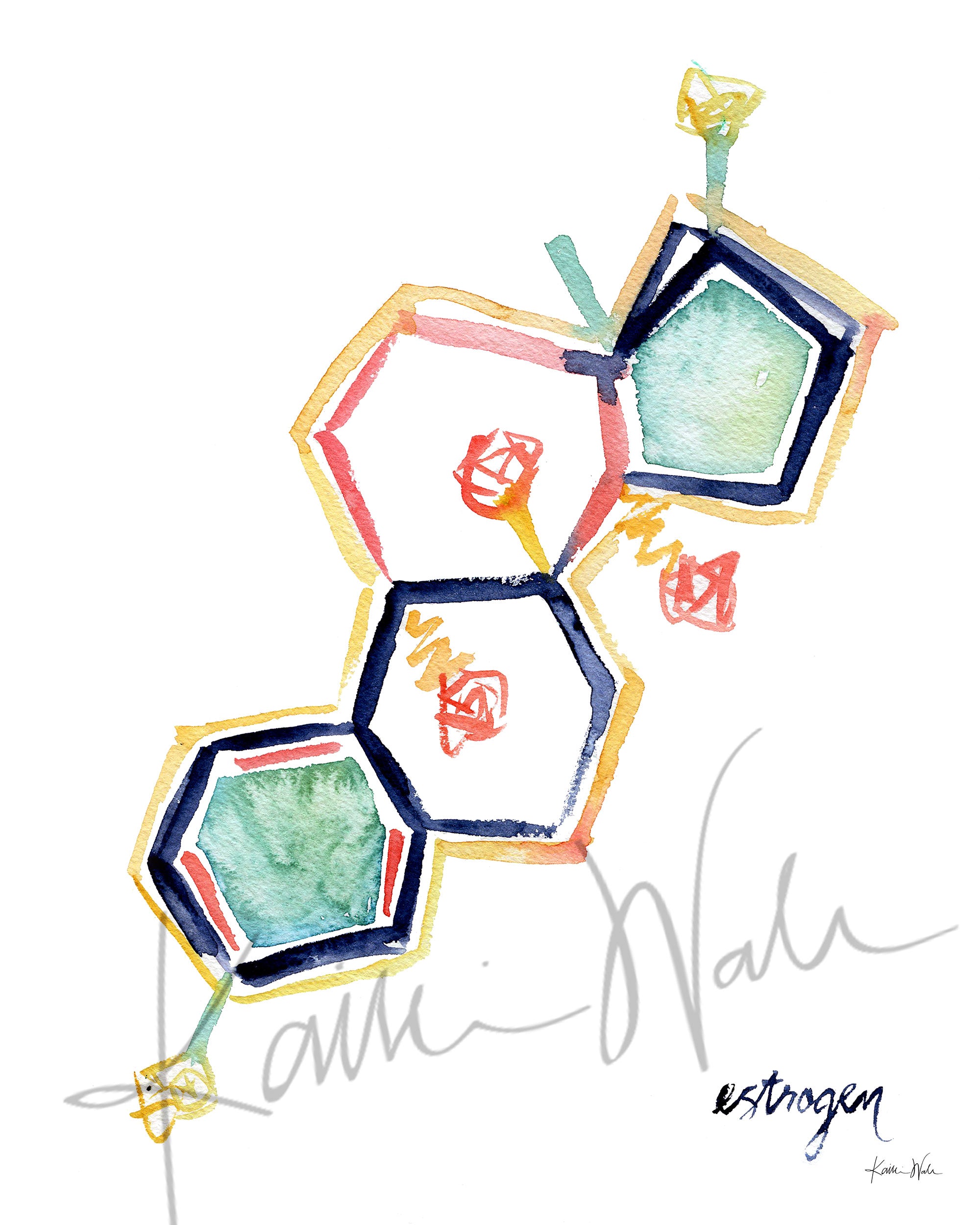 Unframed watercolor painting of the estrogen hormone structure.