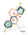 Unframed watercolor painting of the estrogen hormone structure.