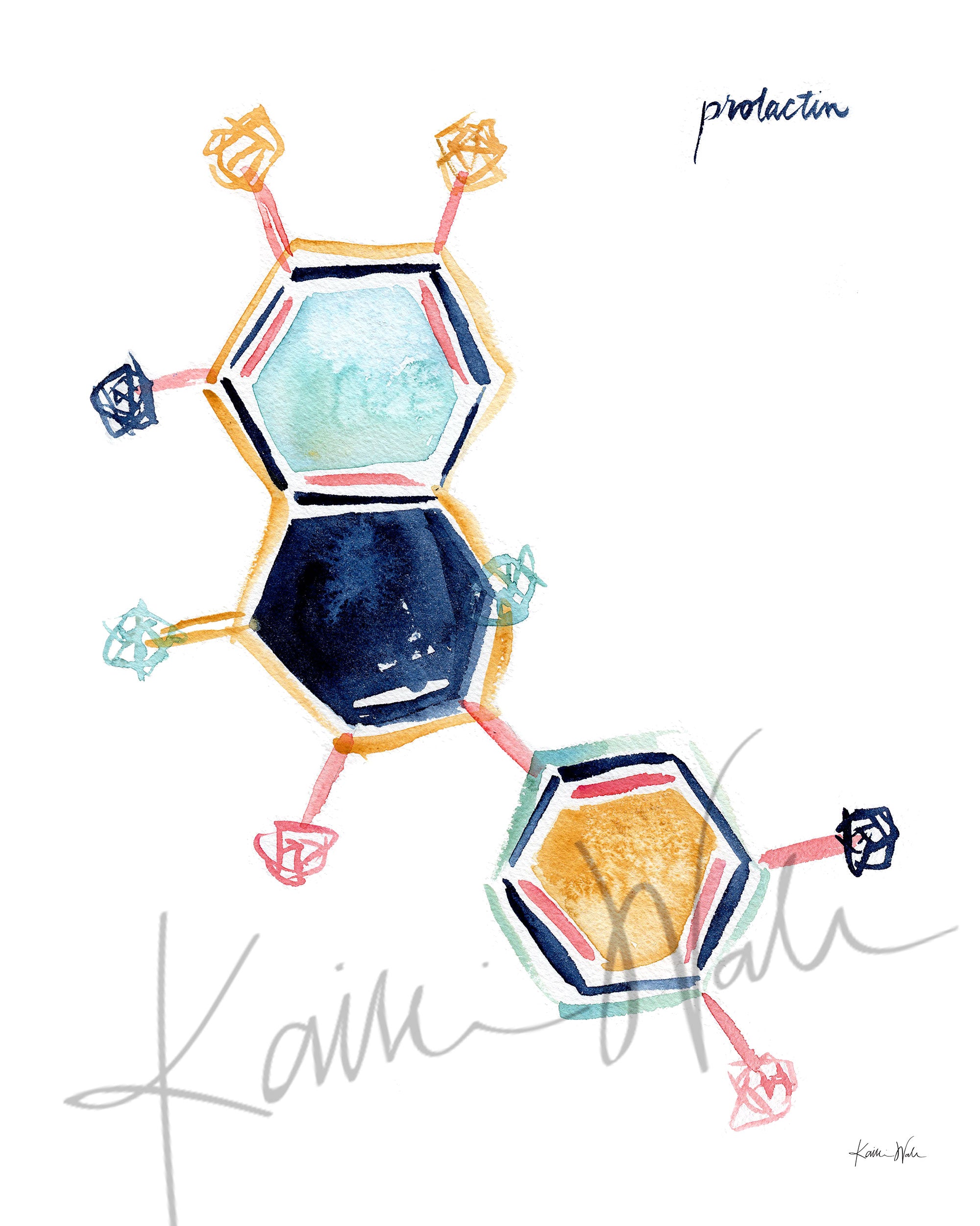Unframed watercolor painting of prolactin hormone molecular structure.