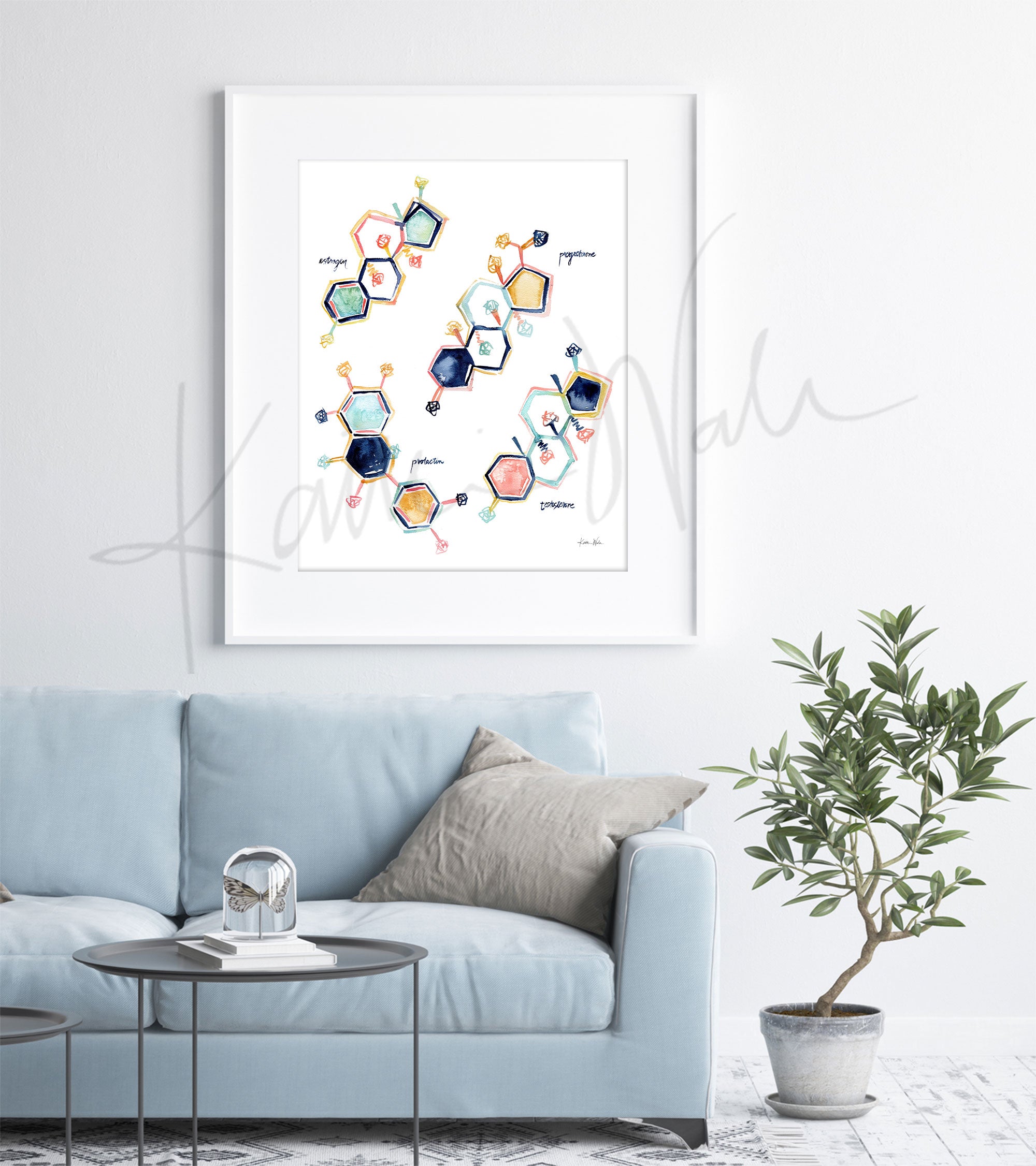 Framed watercolor poster of the molecular structure of reproductive hormones. The painting is hanging over a blue couch.