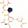 Oxytocin Watercolor Print - Happy Hormones