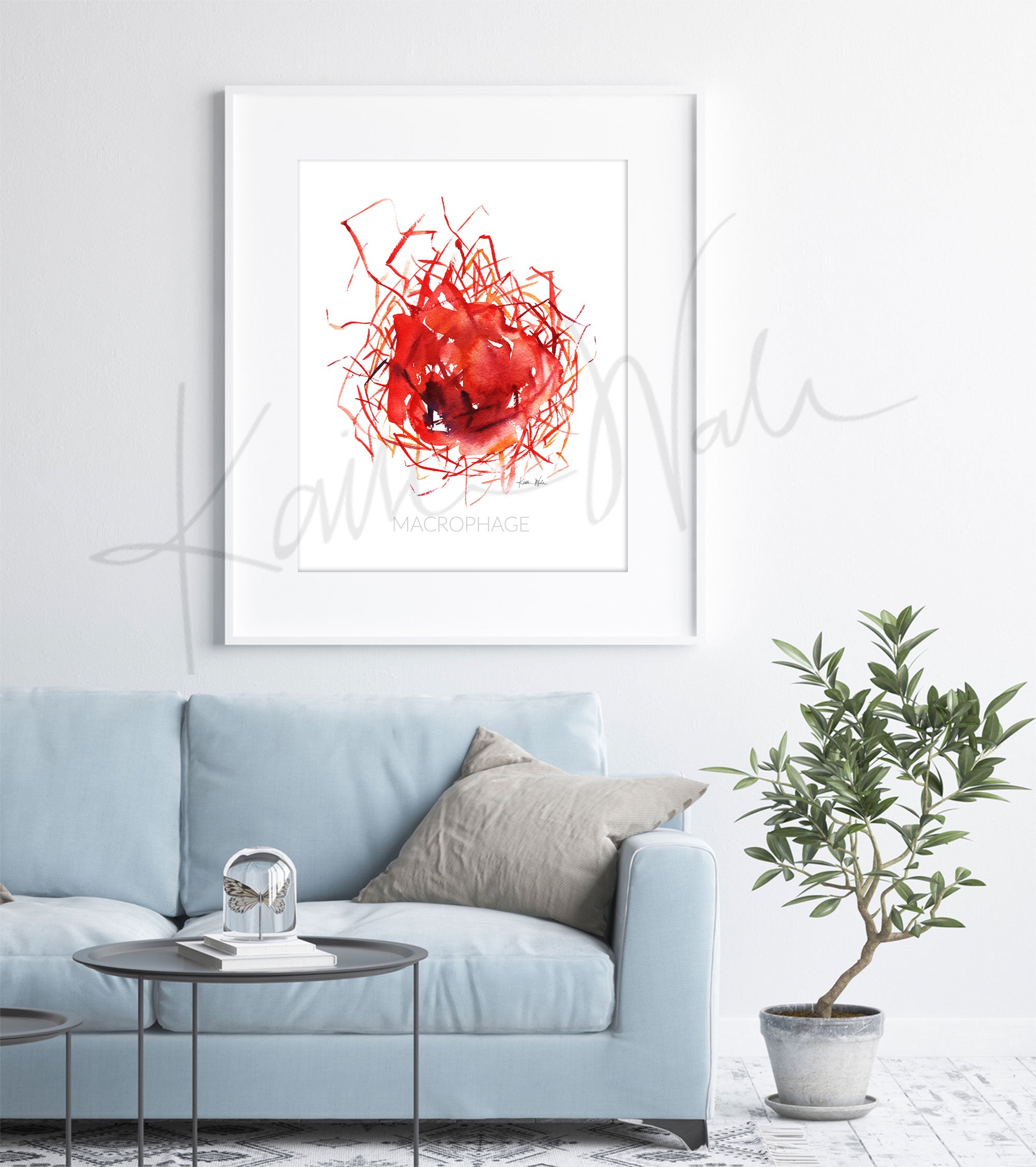 Framed watercolor painting of a macrophage cell. The painting is hanging over a blue couch.