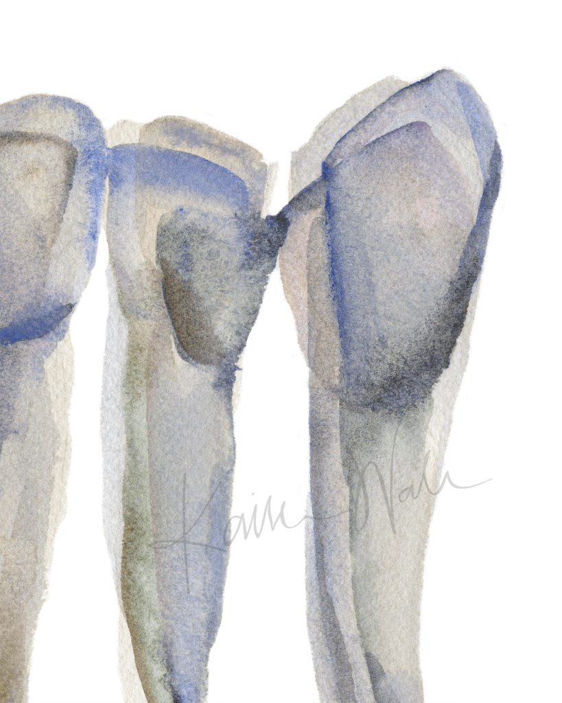 Blue Gray Incisors Print Watercolor