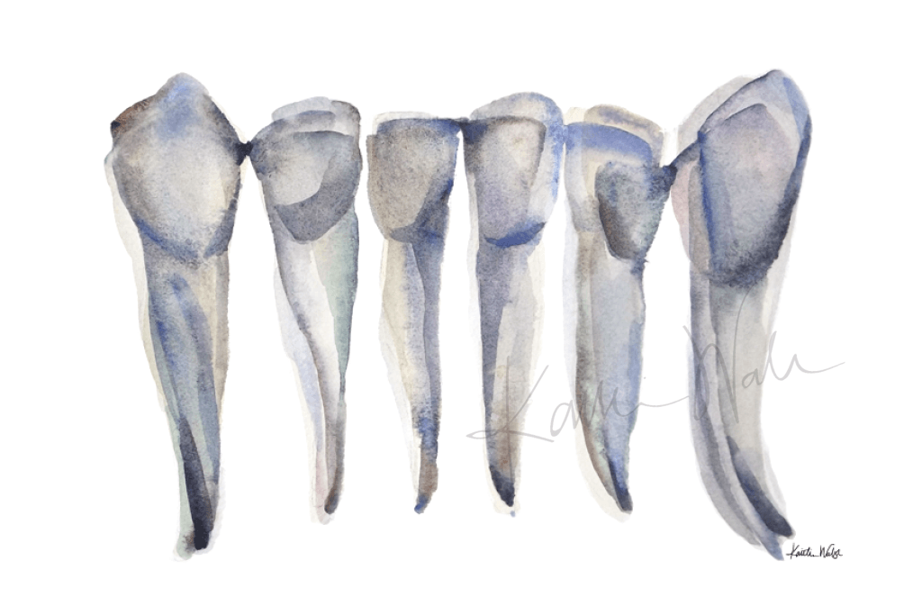 Blue Gray Incisors Print Watercolor -  Dental Art - Gift for Hygienist - Clinic Art