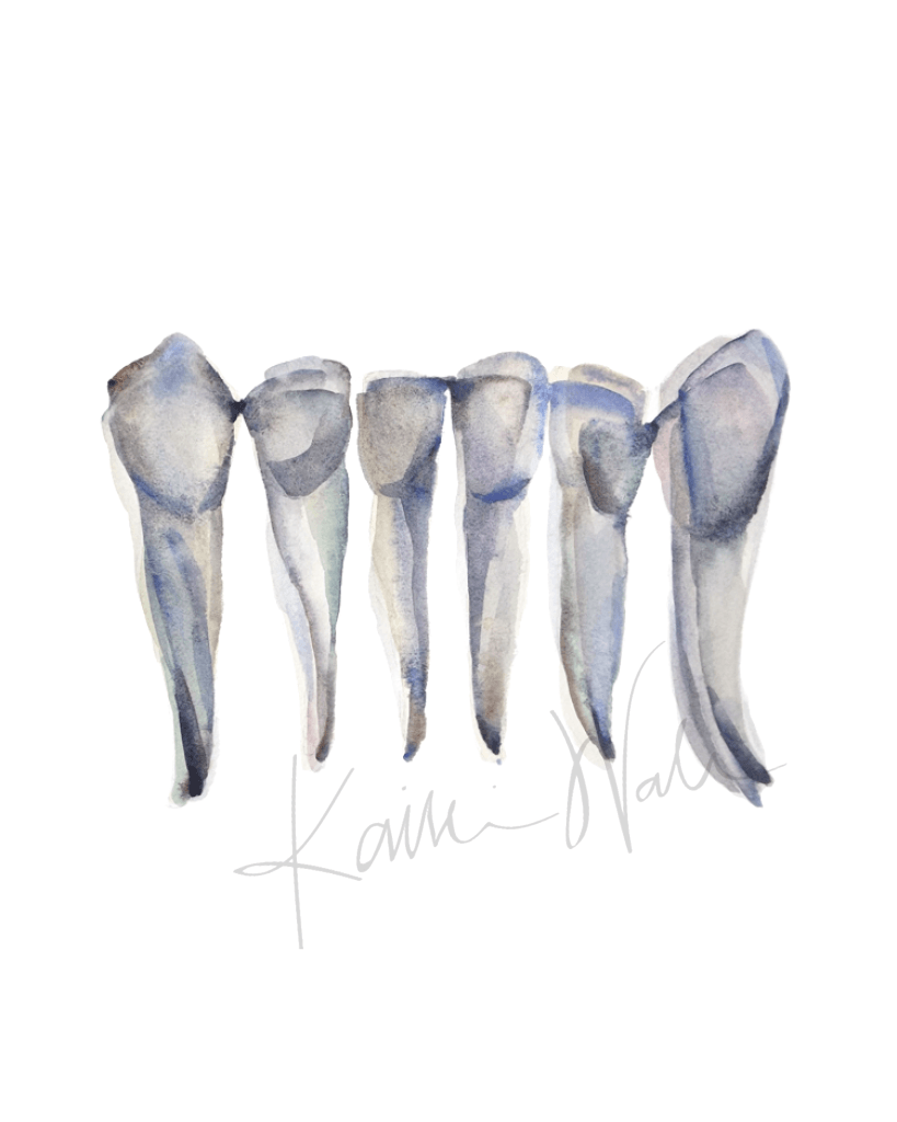 Blue Gray Dental Print Set Watercolor