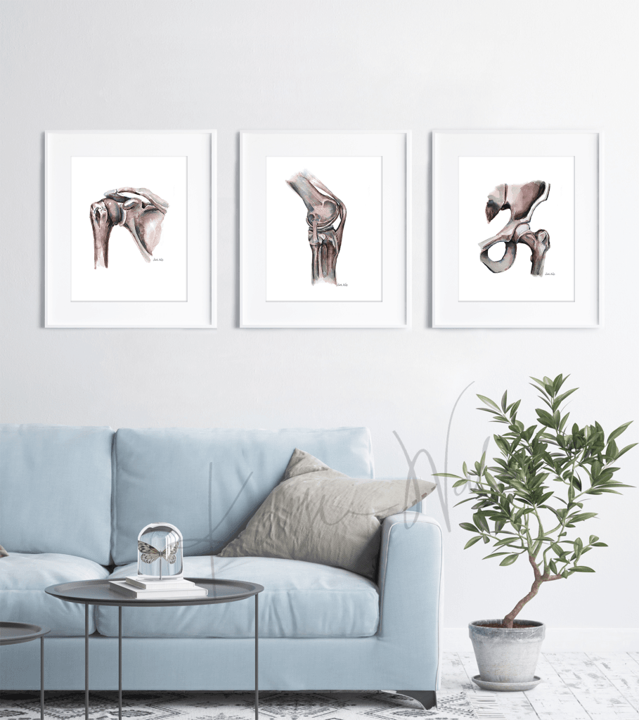 Shoulder Hip And Knee Joint Print Set Watercolor