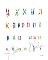 Unframed watercolor painting of the karyotype of someone with Down Syndrome.