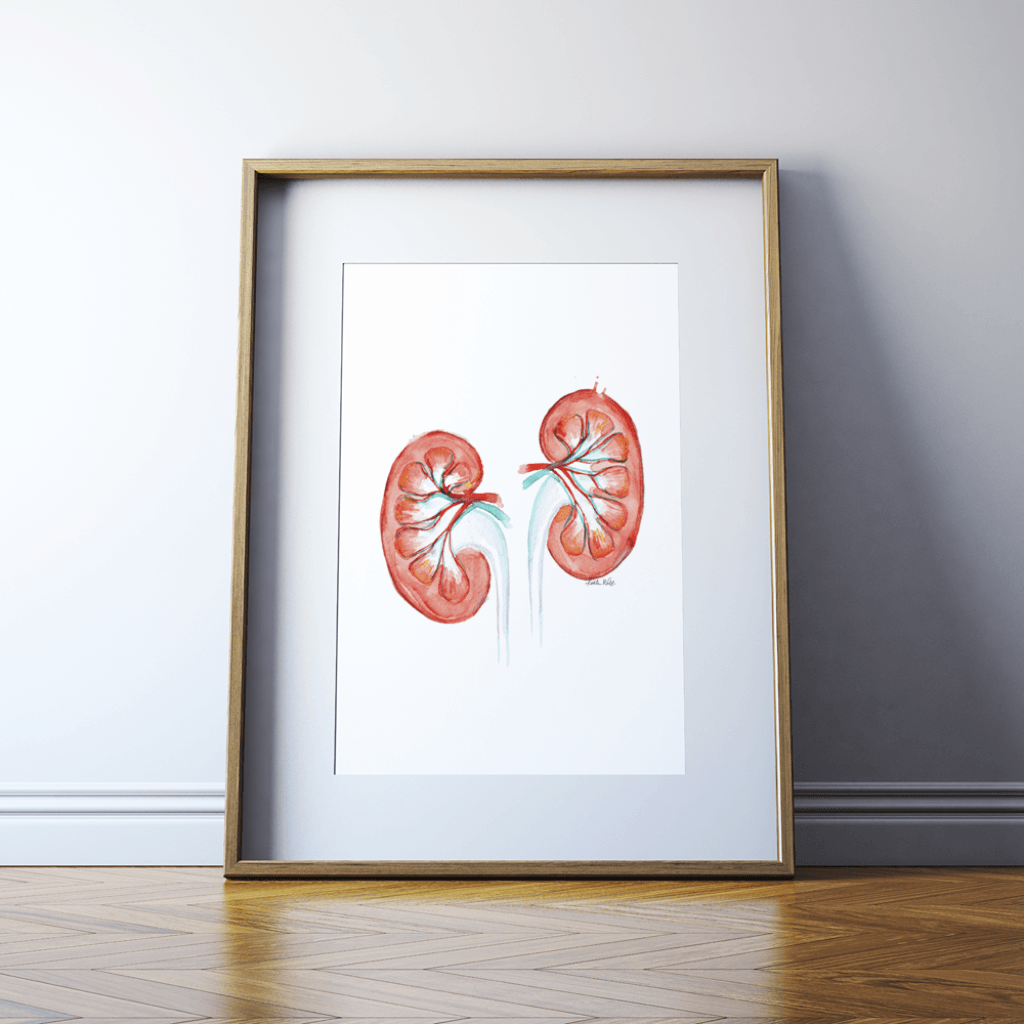 Kidney Print Watercolor