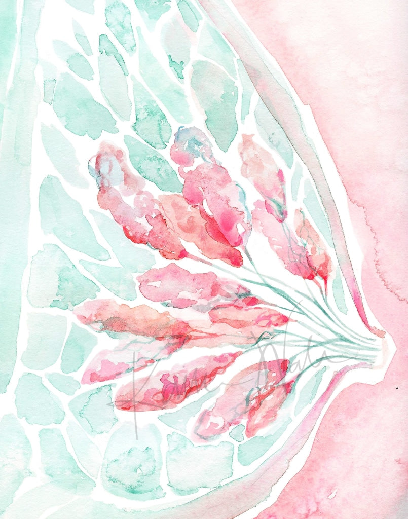 Lactating Breast Watercolor Print
