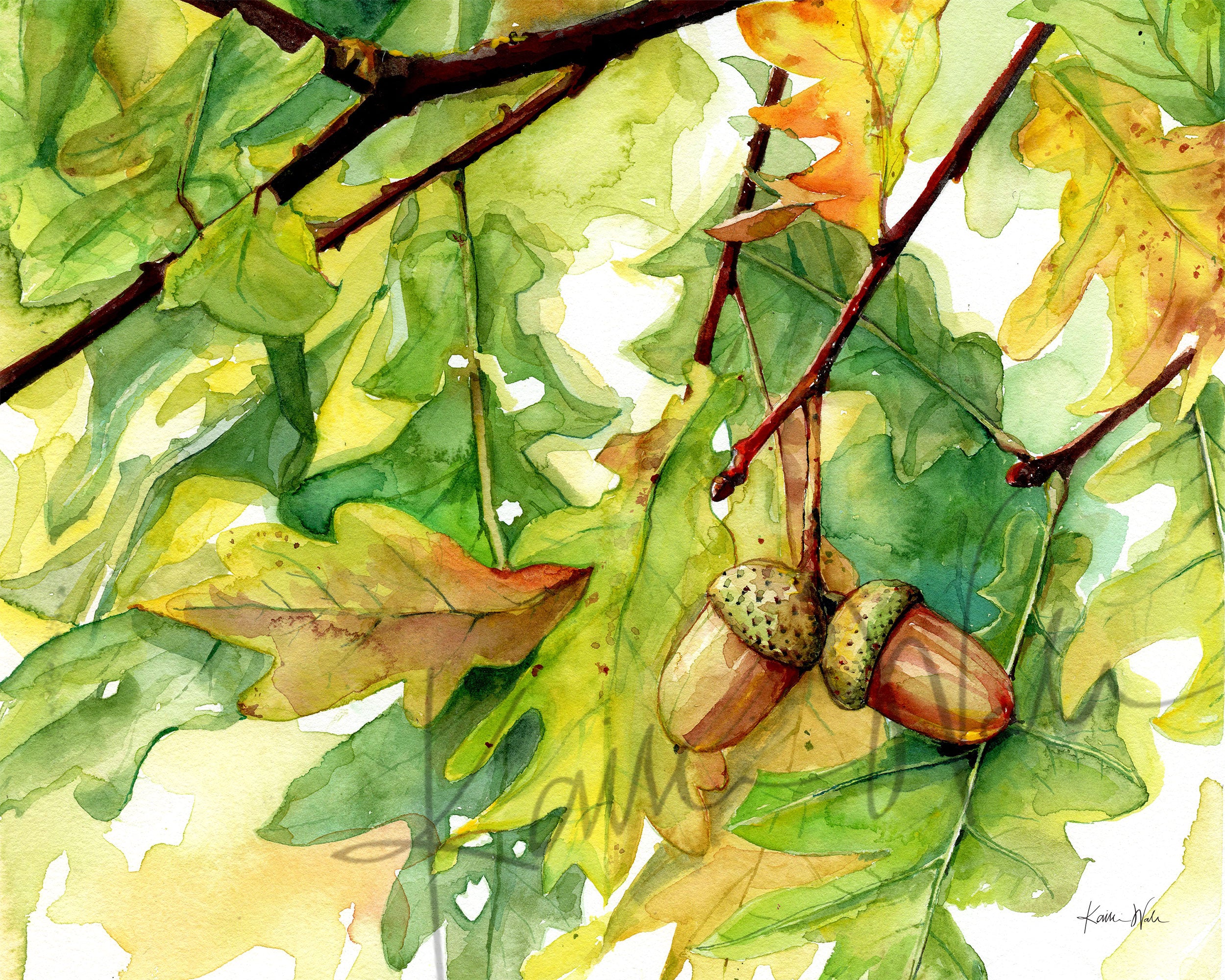 Unframed watercolor painting of autumn leaves and acorns hanging from an oak tree.