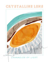 Crystalline Lens - LIMITED EDITION DIGITAL DOWNLOAD