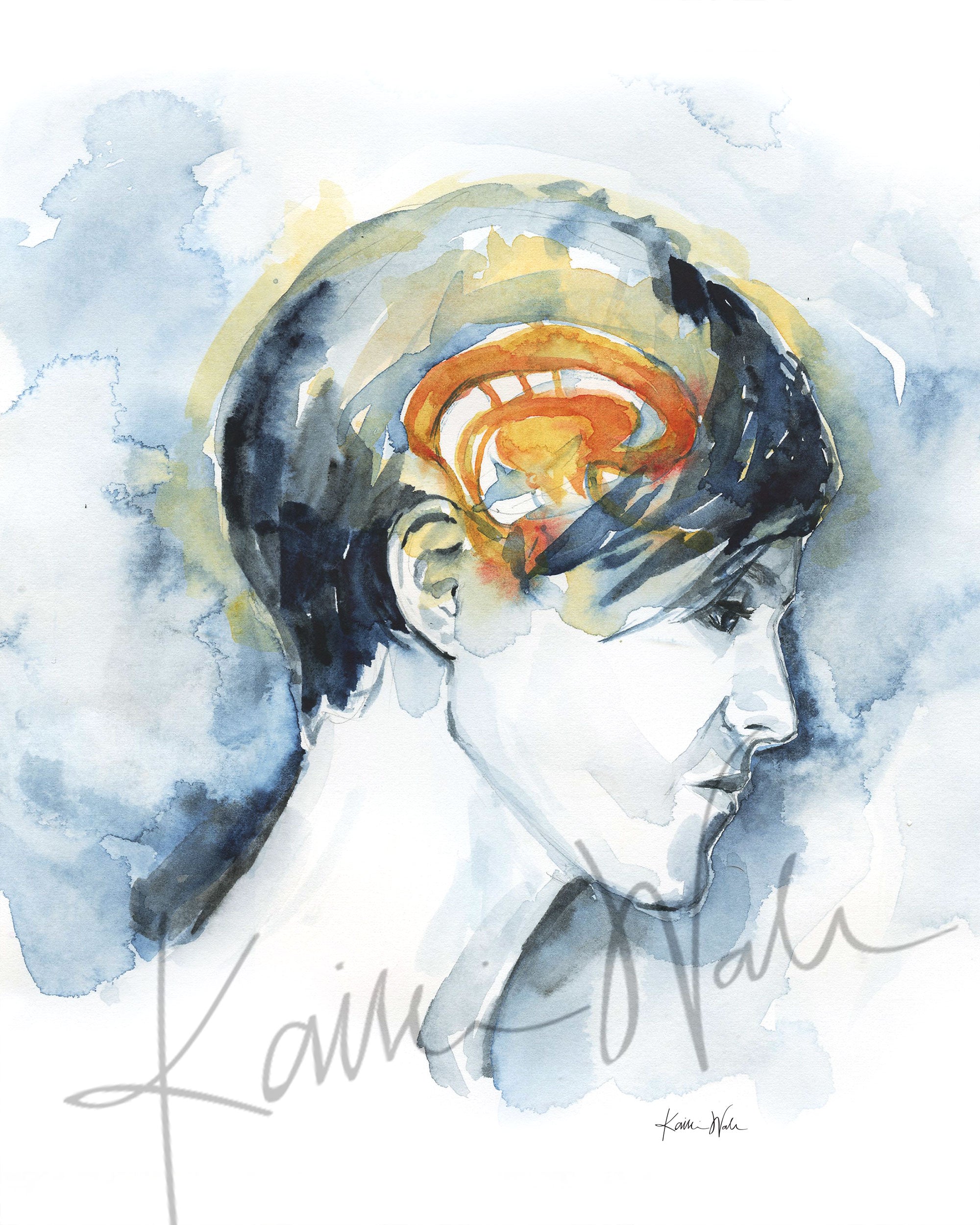 Limbic System Watercolor Print