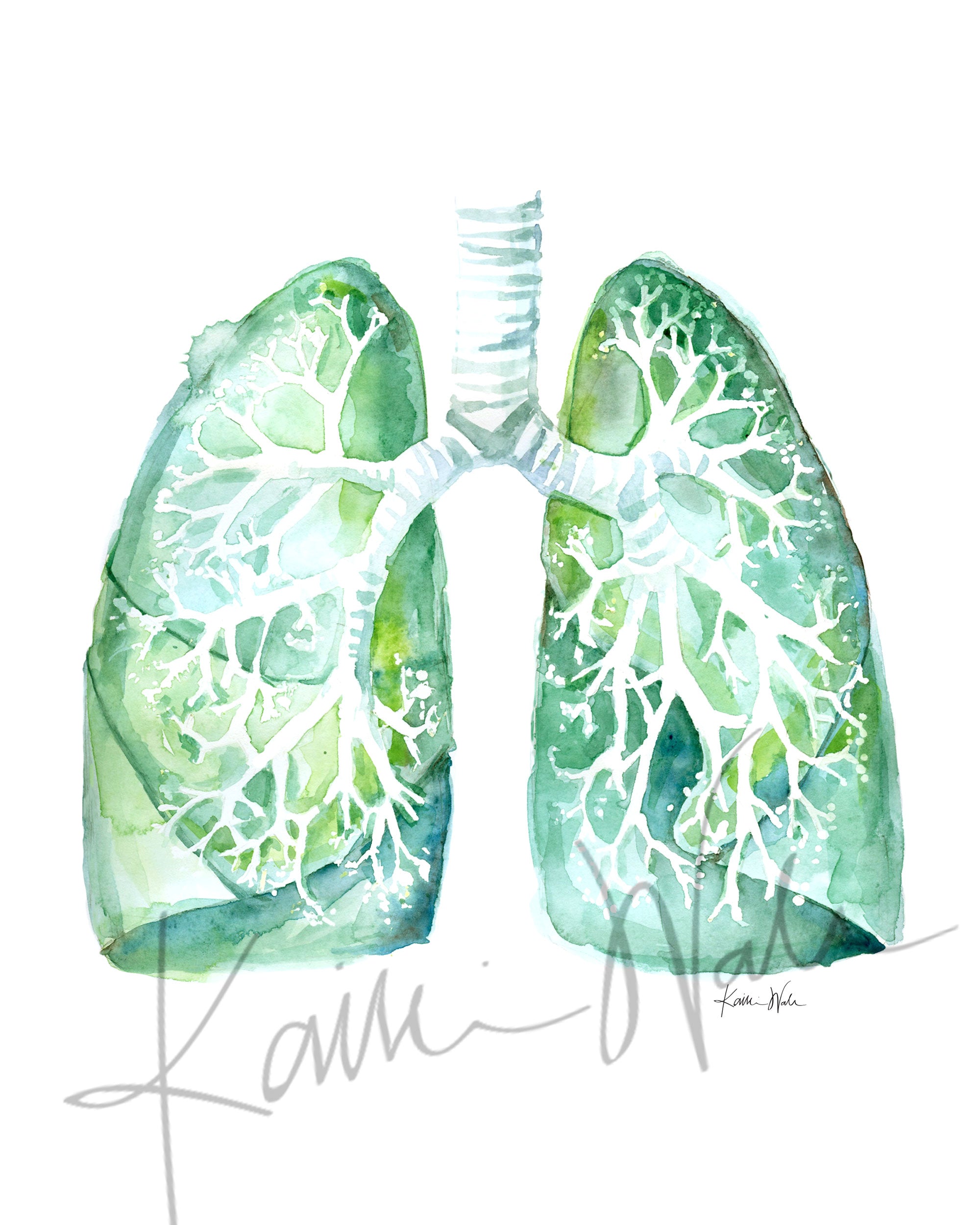 Lung Disease Prevention Watercolor Print