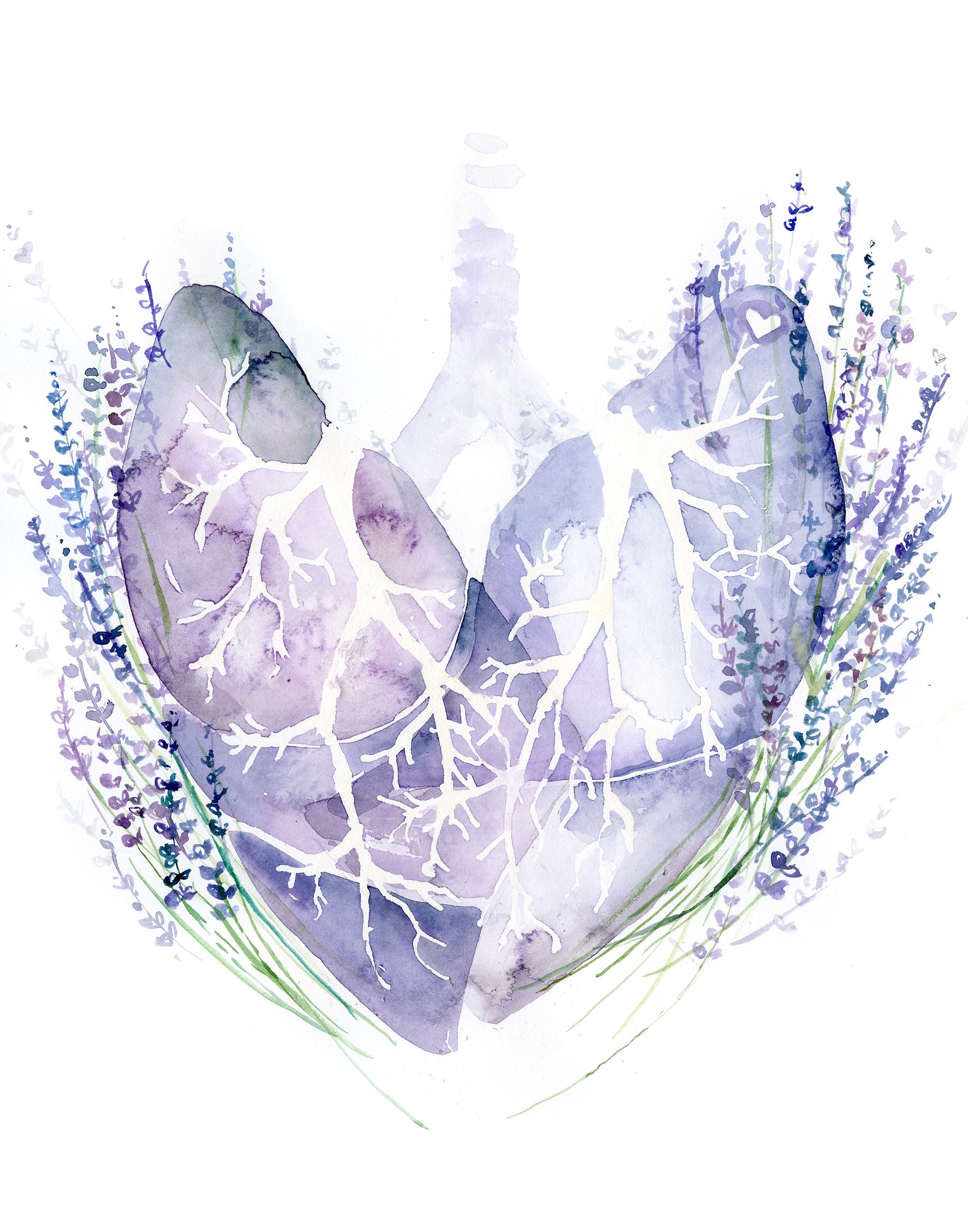 Organ Love Watercolor Print Set