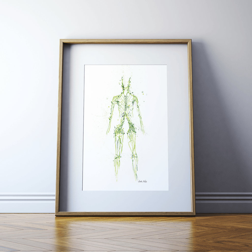 Lymphatic System Print Watercolor- Lymphologist- Oncologist- Gift for Doctor