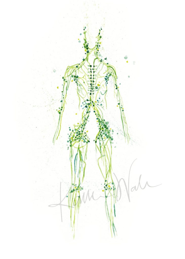 Lymphatic System Print Watercolor- Immune System- Gift for Doctor- Full Body Anatomy Art- Green