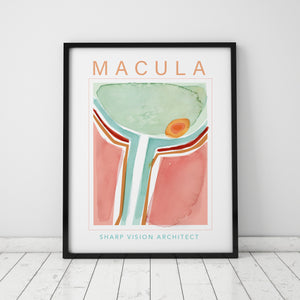 Framed contemporary poster design of the macula in pale green, teal, pink, red, and orange.