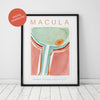 Macula Poster - LIMITED EDITION DIGITAL DOWNLOAD