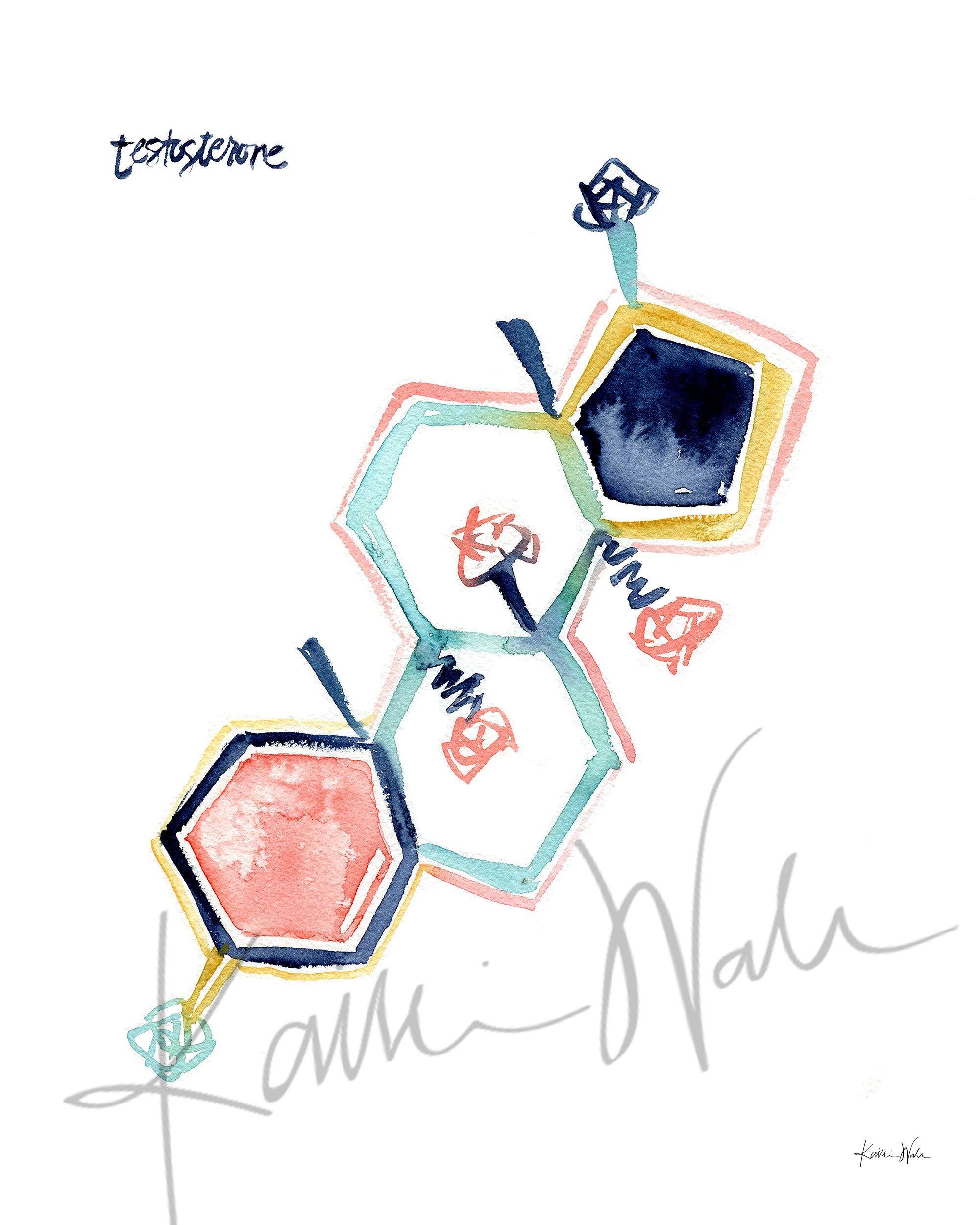 Unframed watercolor painting of the testosterone hormone molecular structure.