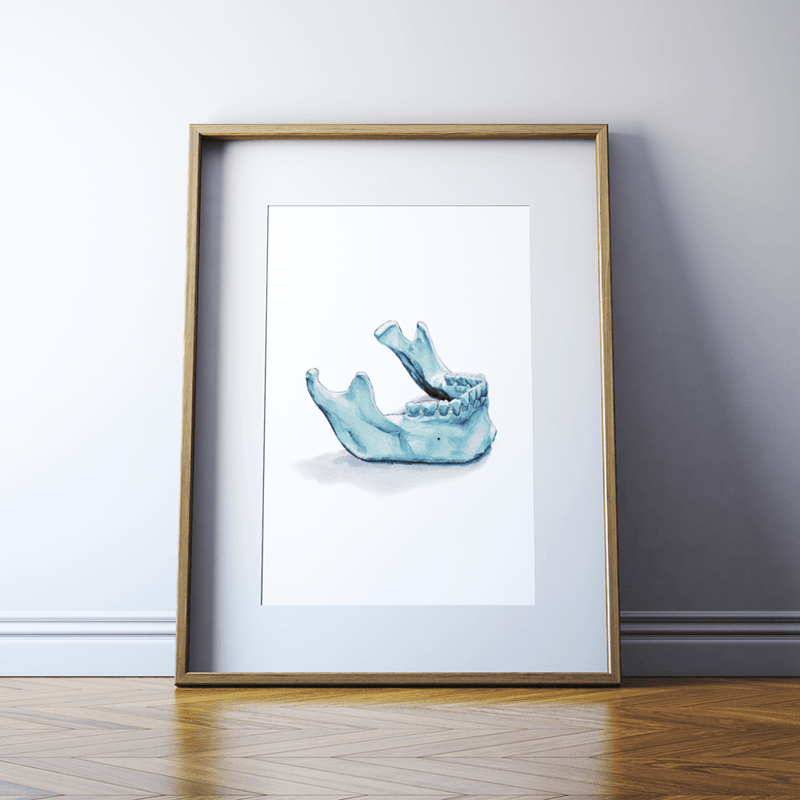 Framed Lateral Mandible Print Watercolor - Bone art - Skull art- Dental Art