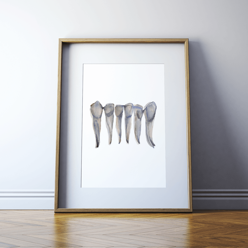 Mandibular Incisors Print Watercolor