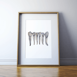 Mandibular Incisors Print Watercolor