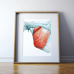 Masseter Print Watercolor