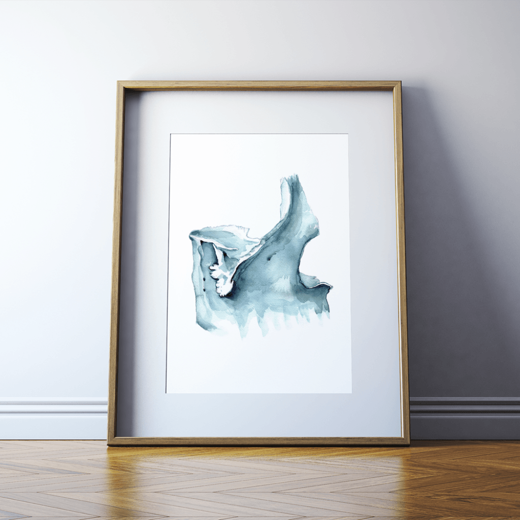 Maxilla Print Watercolor