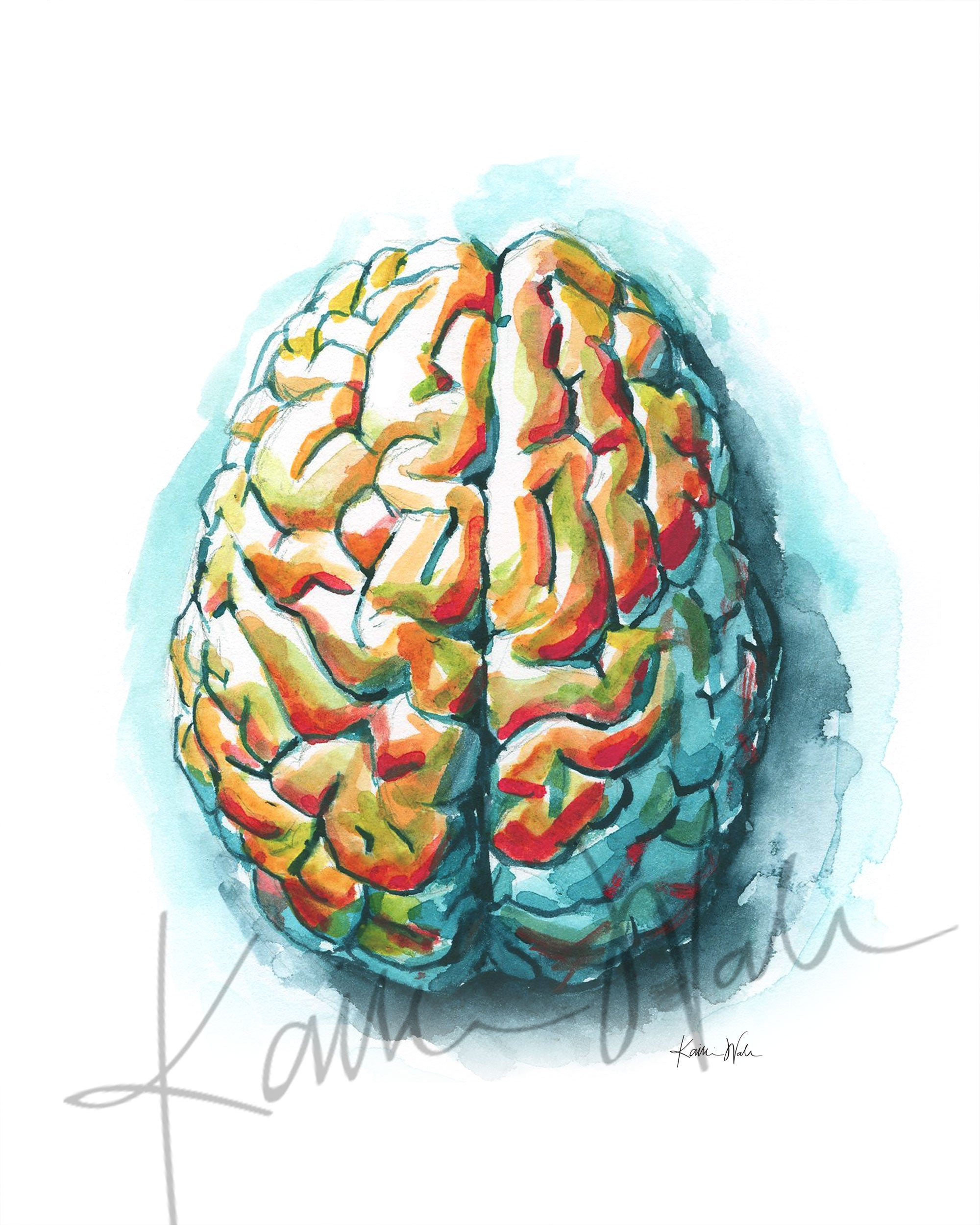 Superior Brain Watercolor Print