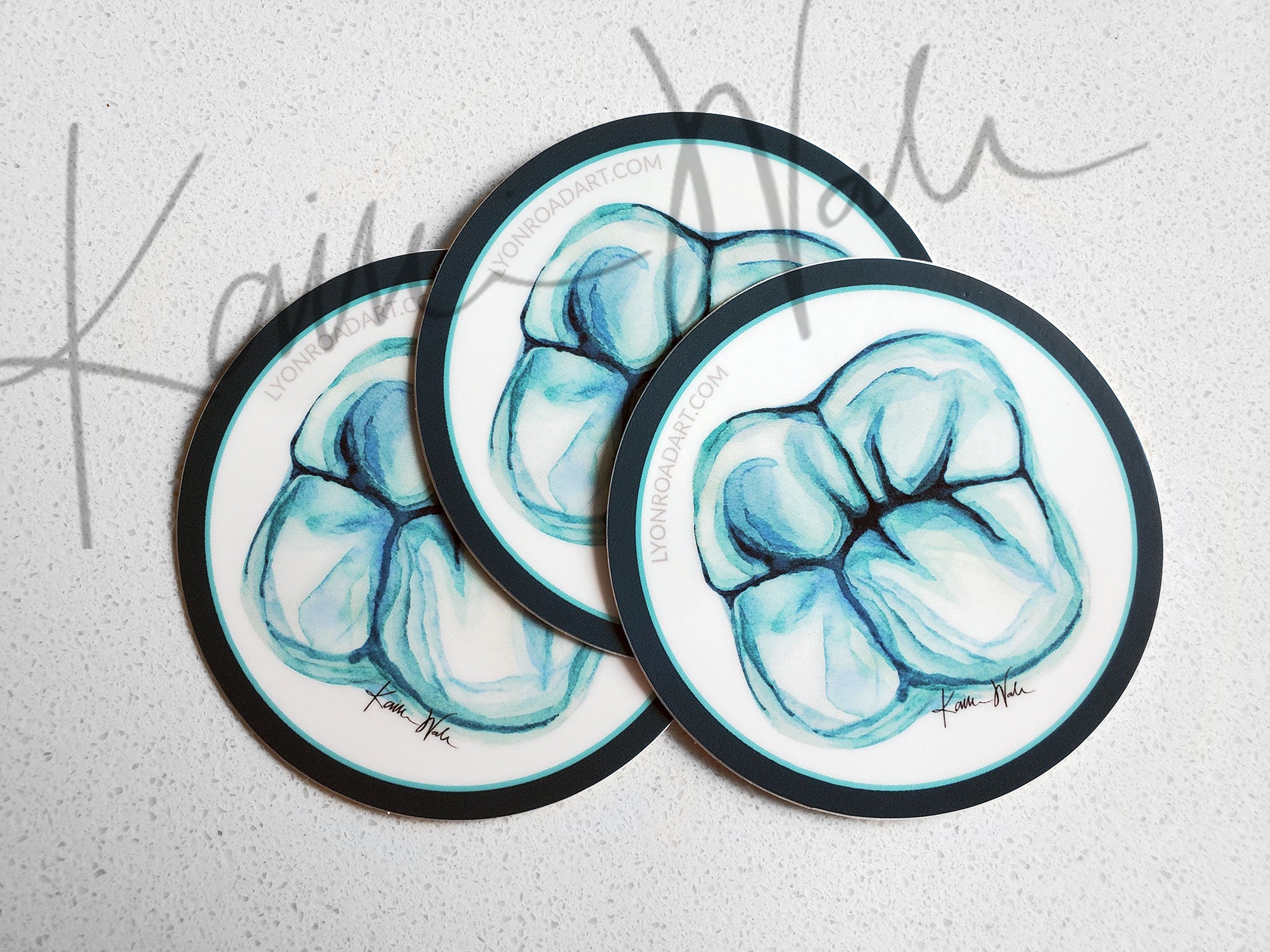 Set of 3 Molar Watercolor Art Stickers